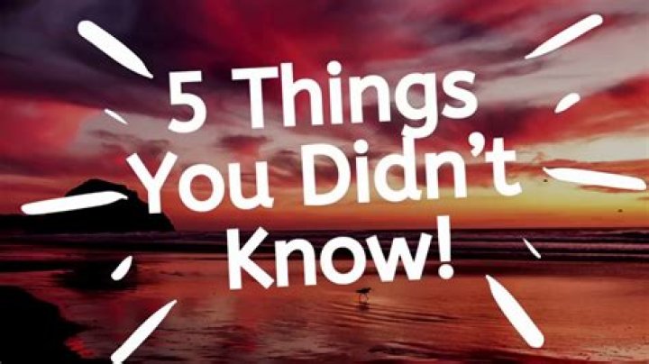 5 Things You Didn't Know About Dan + Shay E! Online