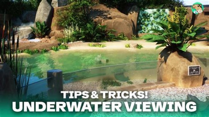 BETTER Underwater Viewings 5 Tips & Tricks in Zoo YouTube