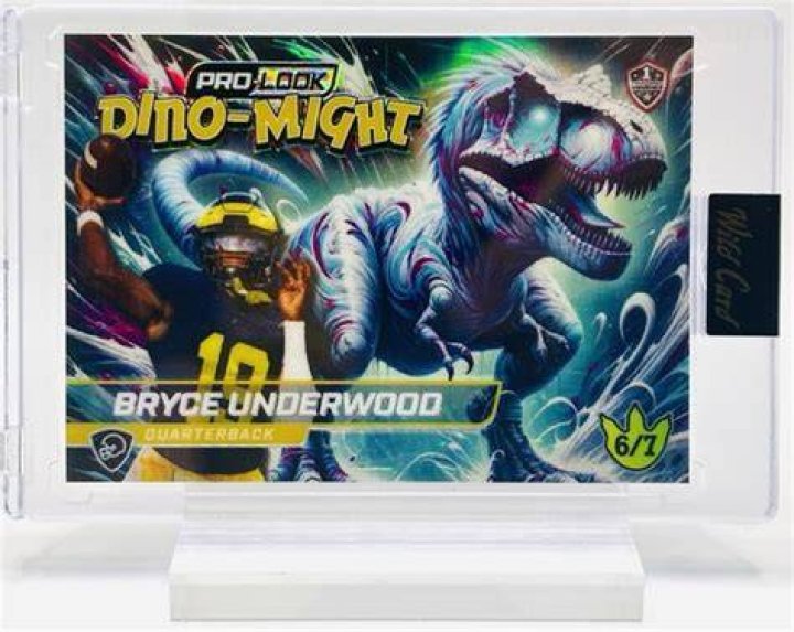 Bryce Underwood, 2025 Pro Style Quarterback