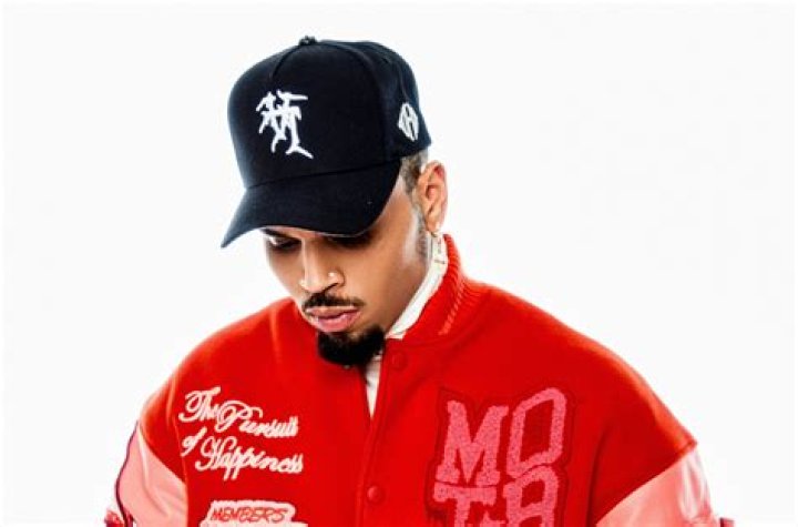 Chris Brown's Six Pack Get Ready to Drool Over His Chiseled Abs!