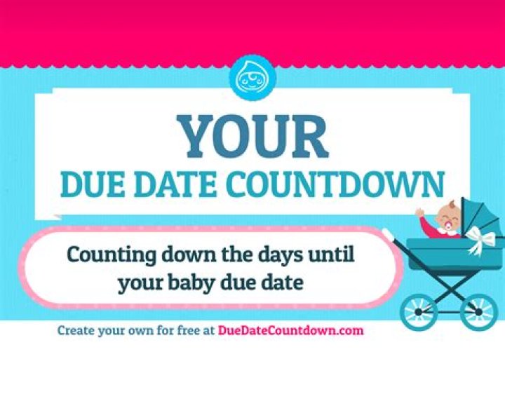 Countdown To The Due Date