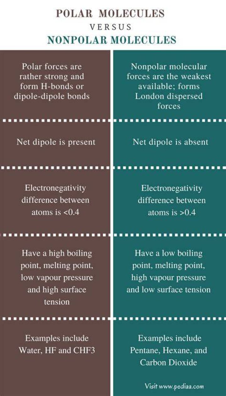 Difference Between Polar and Nonpolar Amino Acids Compare the
