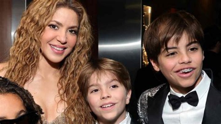 Discoveries And Insights From Shakira's Latest Masterpiece