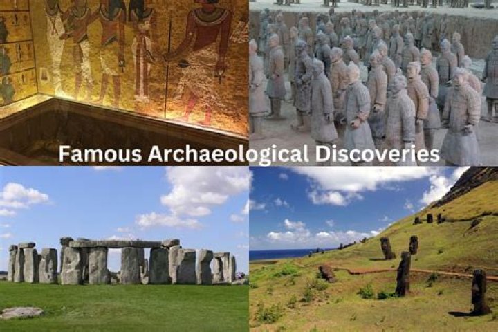 Discoveries And Insights On Amber Lemke