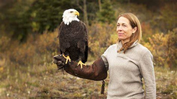 Does Dr Oakley Yukon Vet Divorce? All About Their Relationship Texas