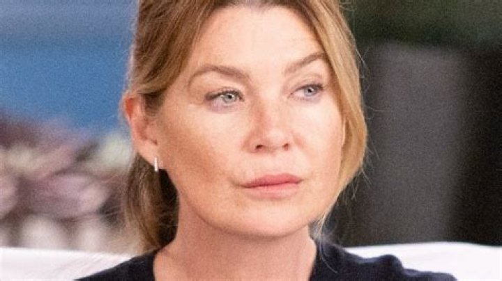 Ellen Pompeo Has a Lot to Say About Sandra Oh's Emmys Nomination