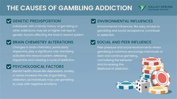 Gambling Problem Symptoms, Causes & Treatment