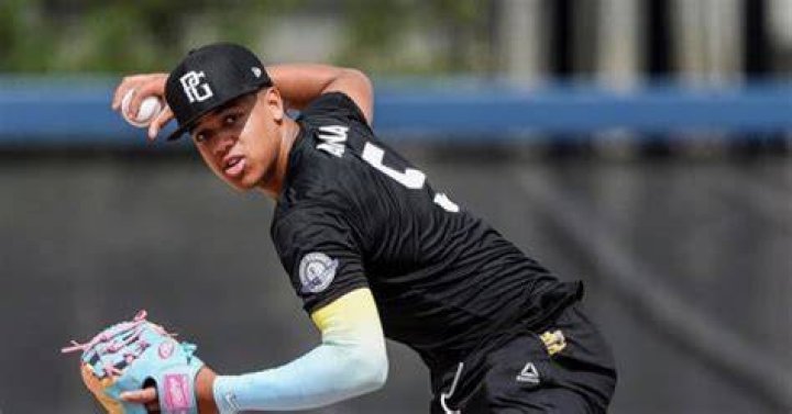 Hermano de Ronald Acu&ntilde;a Jr firm&oacute; por 7 millones de d&oacute;lares Beisbol hasta en las venas