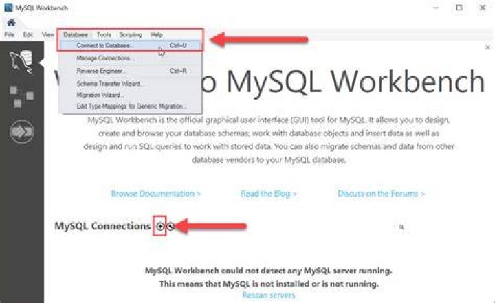 How to Connect to MySQL Server