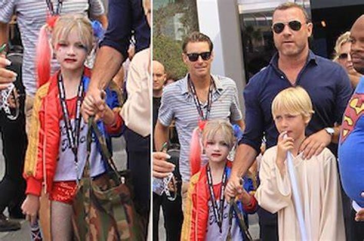 Liev Schreiber&rsquo;s sons get decked out for ComicCon Page Six