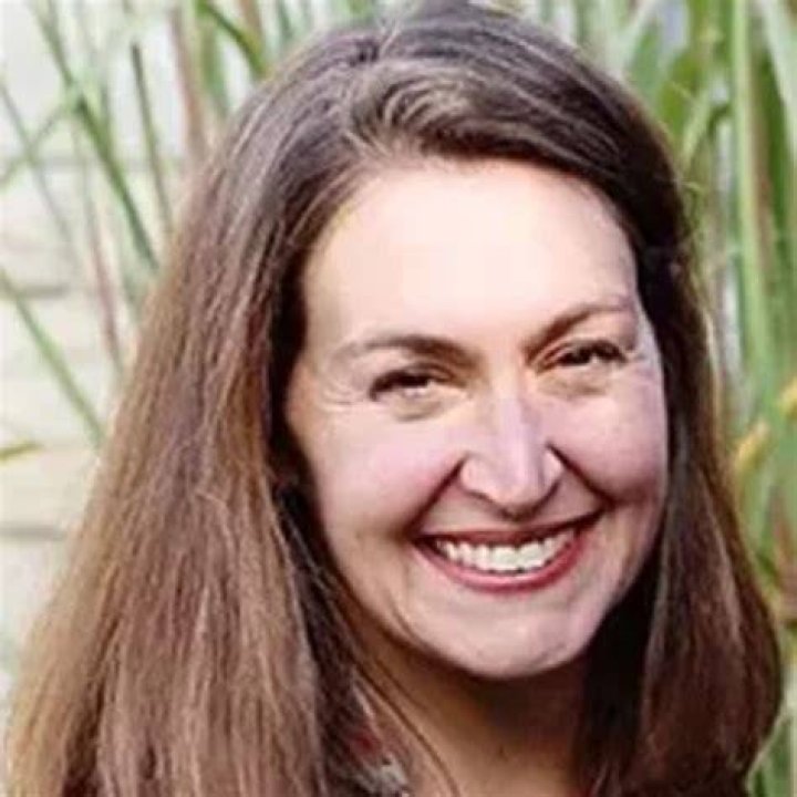Mary Ann McFarland Adjunct Professor Brigham Young University LinkedIn