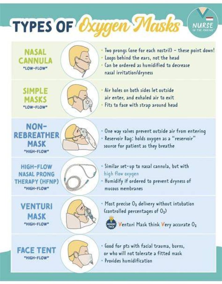Mask Cheat Sheetpdf Protocols Information Age Images