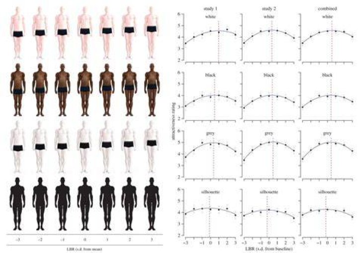 Men with Slightly Longer Legs Are More Attractive to Women American