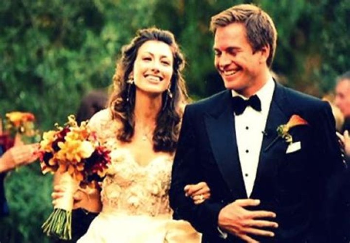 Michael Weatherly Wedding