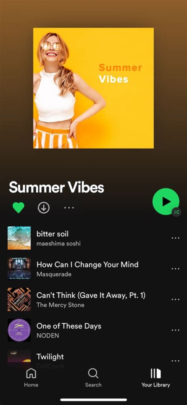 Music Promotion Services Playlist Push