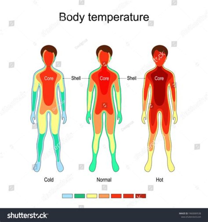 Normal Body Temperature Diagram