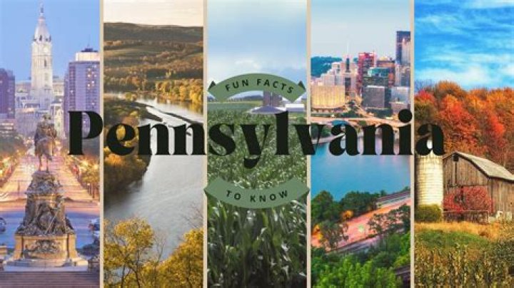 Pennsylvania's Telephonic Psychiatric Consultation Service Program