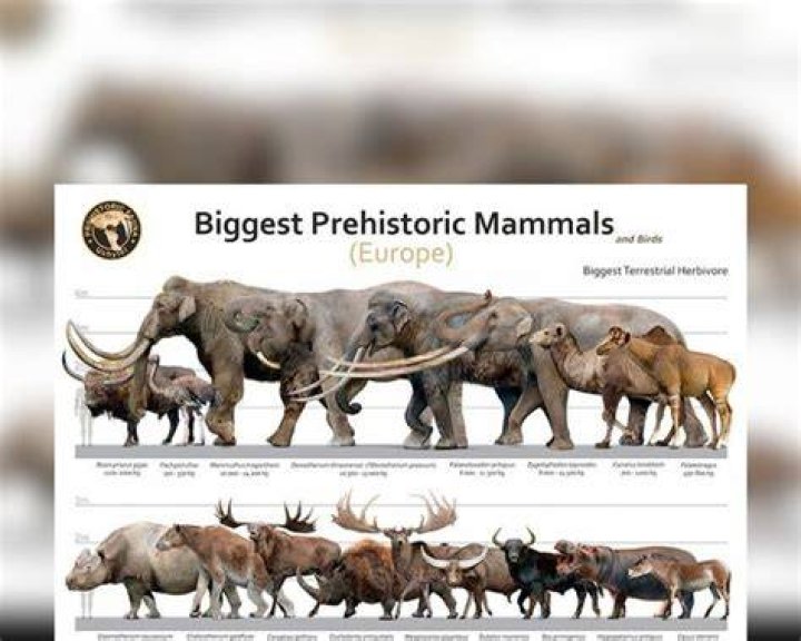 Pin on Prehistoric Animals