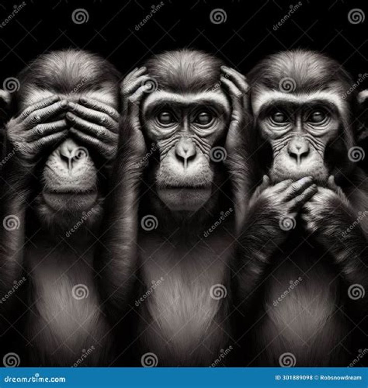 See No Evil, Hear No Evil, Speak No Evil&hellip;is evil! St. Gregory the