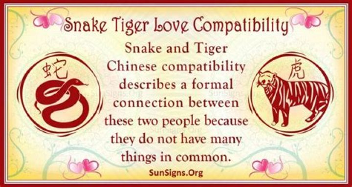 Snake And Tiger Compatibility Instant Connection