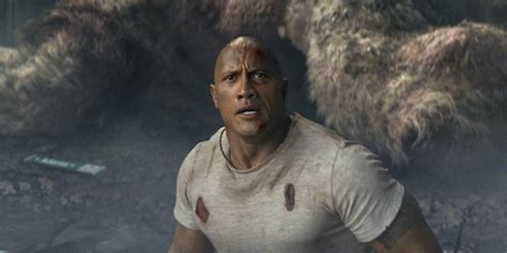 The Rock's Kids Get to Know Dwayne Johnson's 3 Daughters