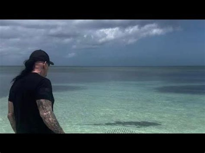 The Undertaker scares shark away while on vacation with Michelle McCool