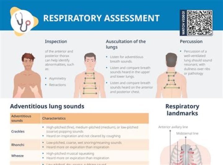 Understanding Babies' Respiratory Rates: A Comprehensive Guide