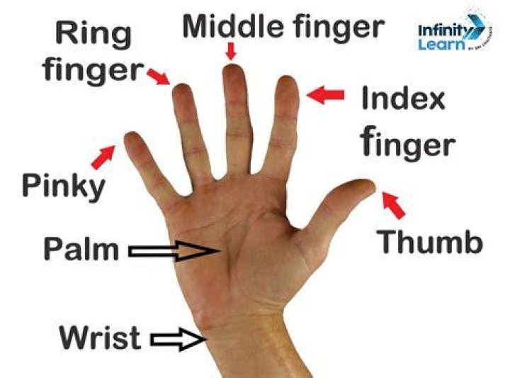 What Does 2 Finger Hand Gesture Mean Duane Pickrell Kapsels