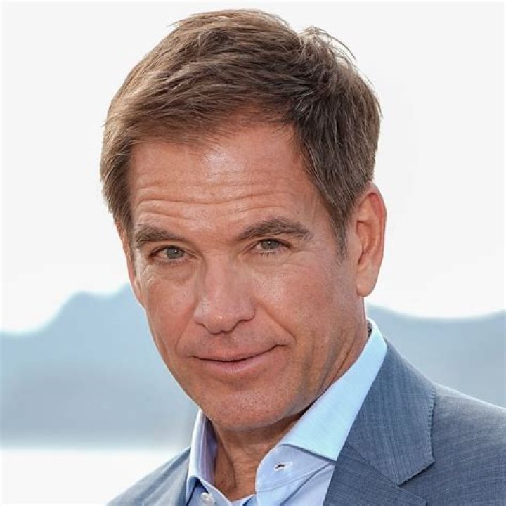 Who Is Michael Weatherly's Wife? Does He Have Any Exes?